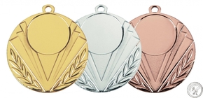 Medaille E4009 goud/zilver/brons (50mm)